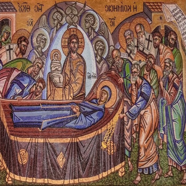 Ned, The Koala – Marmalade!